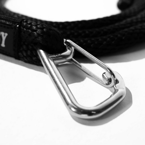 Custom Dock Lines — Pair